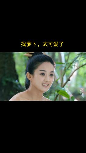 拔蘿卜電視劇視頻高清完整