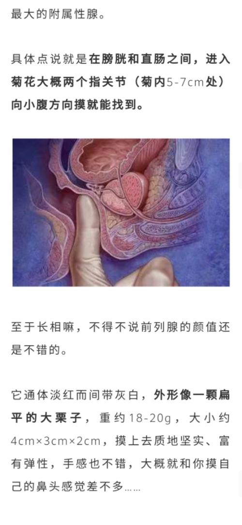 在公交車里c弄到高C了怎么辦