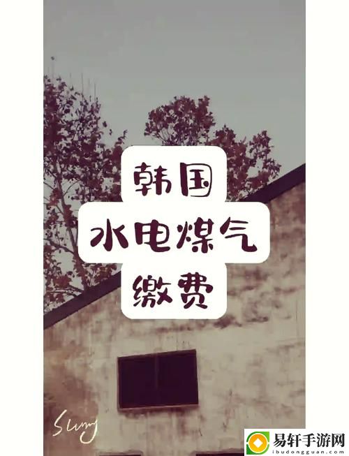 好看的韓國三色電費