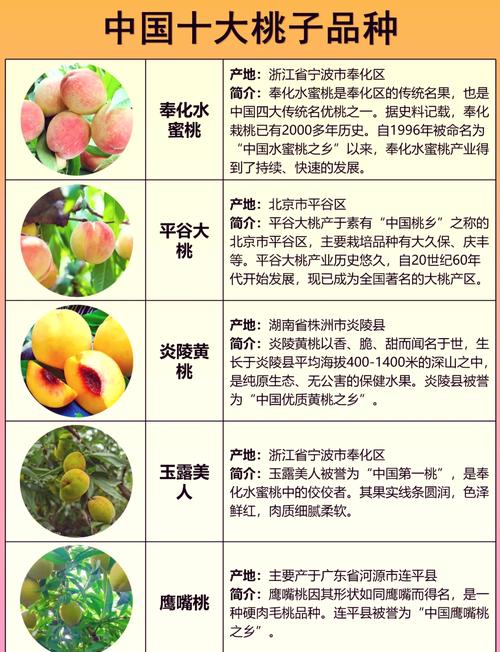 蜜桃國精產品二三三區