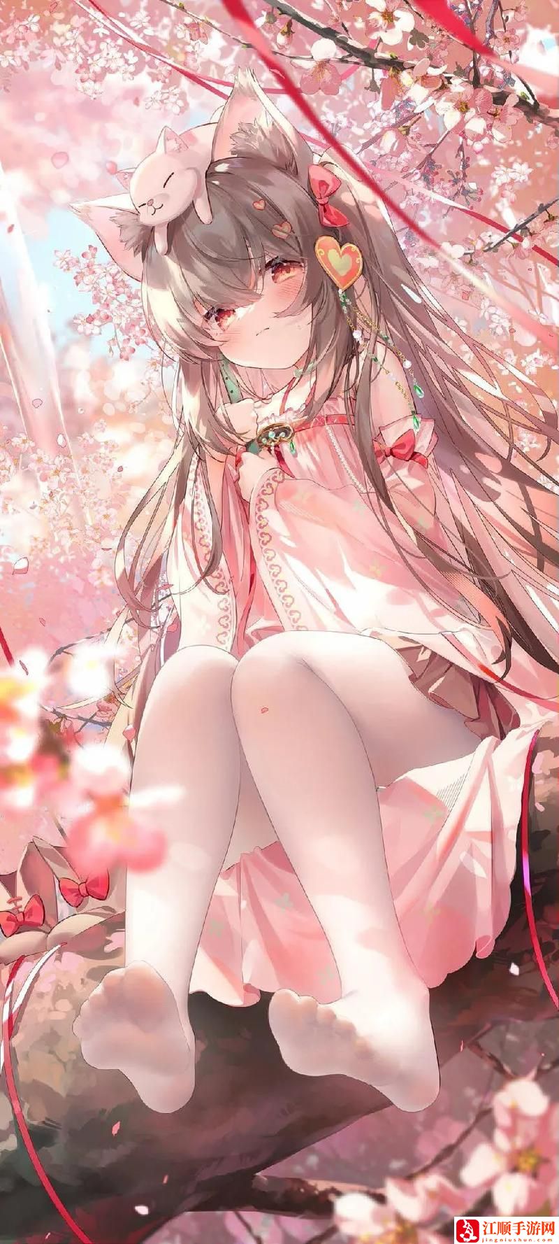 貴妃直播