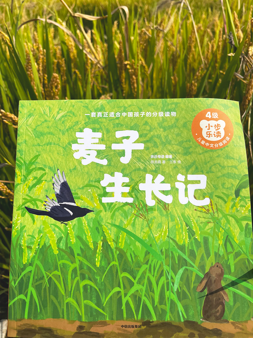 《麥子的秘密2》