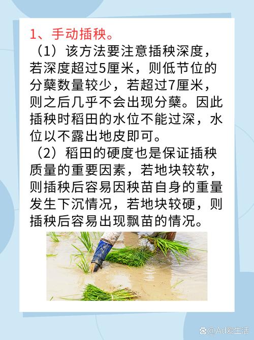 夫妻插秧38種方法大全