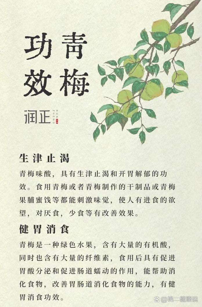 青梅不經(jīng)C