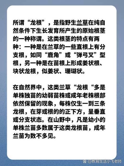 用龍根養大的公主姜宜珠姜封
