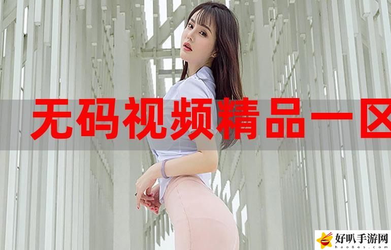 精品視頻一區(qū)二區(qū)
