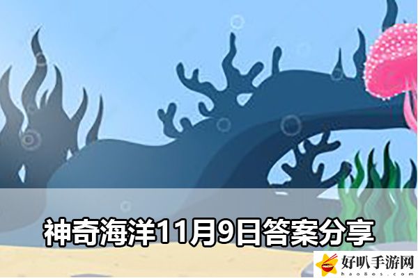 神奇海洋11月9日答案分享：如何應對游戲中的高難度挑戰？