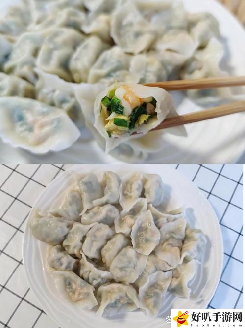 梁教授要穩住肉餡小水餃視頻
