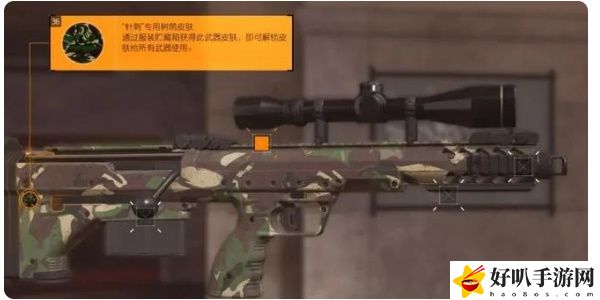 《全境封鎖2》武器皮膚裝備方法