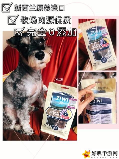 美國人與動物膠配方有幾種