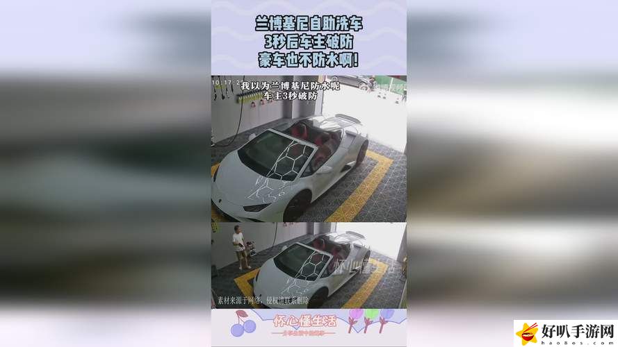 X7X7暴力噪入口