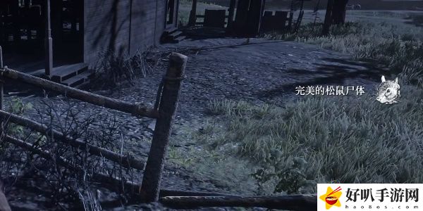 《荒野大鏢客2》完美松鼠皮獲取位置