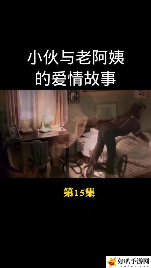 暴躁老阿姨老***成就與榮譽
