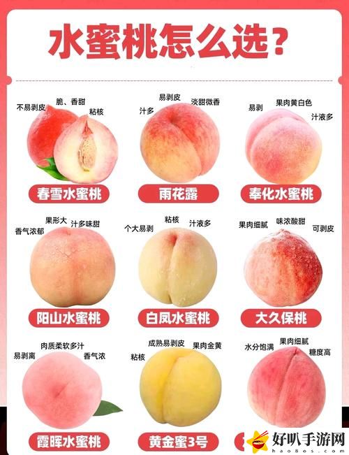 蜜桃國精產品二三三區