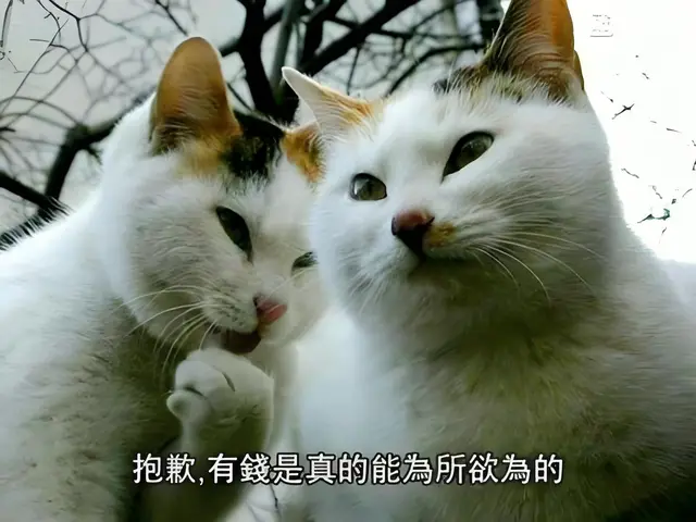 逆水寒又肝又氪_零氪逆水寒_