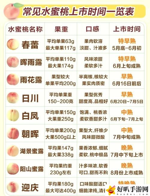蜜桃精產品二三三區